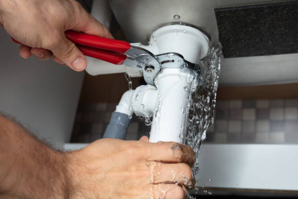 Best Mold removal after water damage  in Vancouver, WA