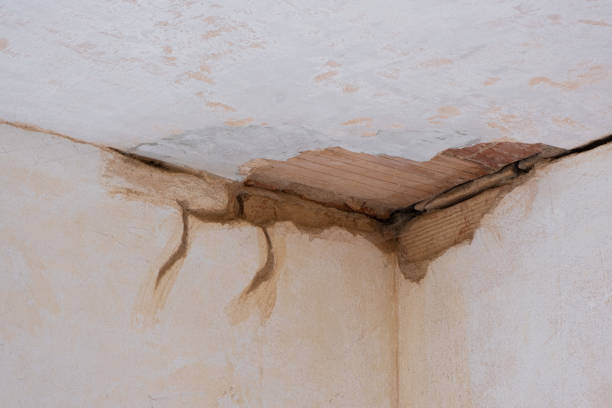 Reliable Vancouver, WA Water damage restoration Solutions