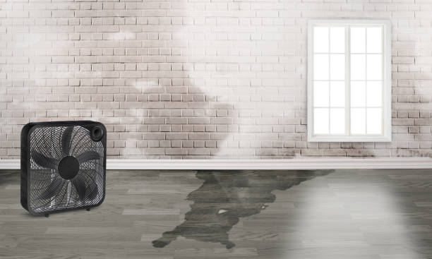Best Water damage restoration near me  in Vancouver, WA