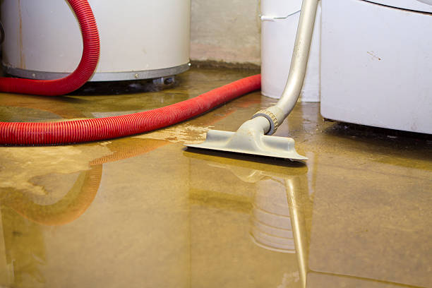 Best Flood damage cleanup  in Vancouver, WA