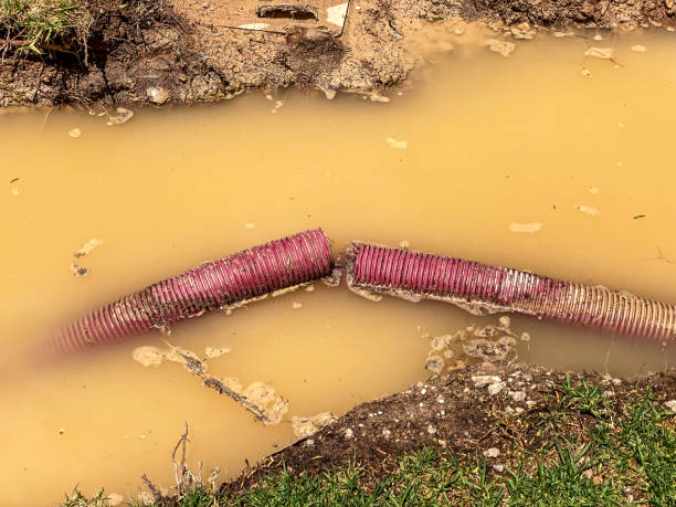 Best 24-hour water damage restoration  in Vancouver, WA
