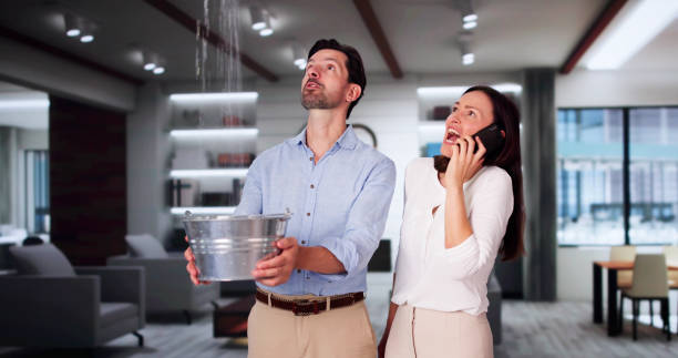 Best Professional water damage repair  in Vancouver, WA